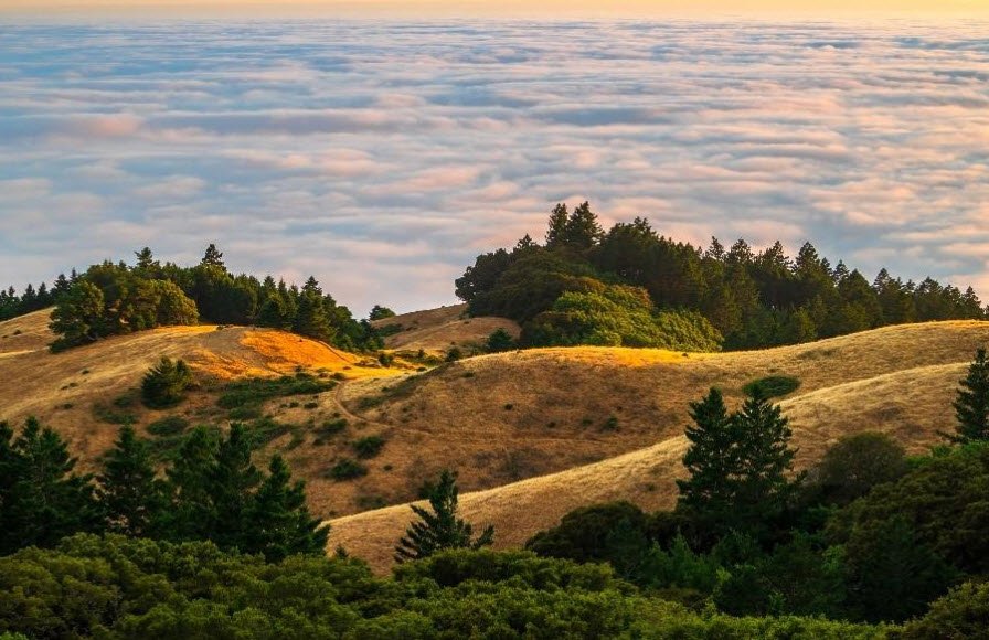 Mount Tamalpais State Park, California, USA